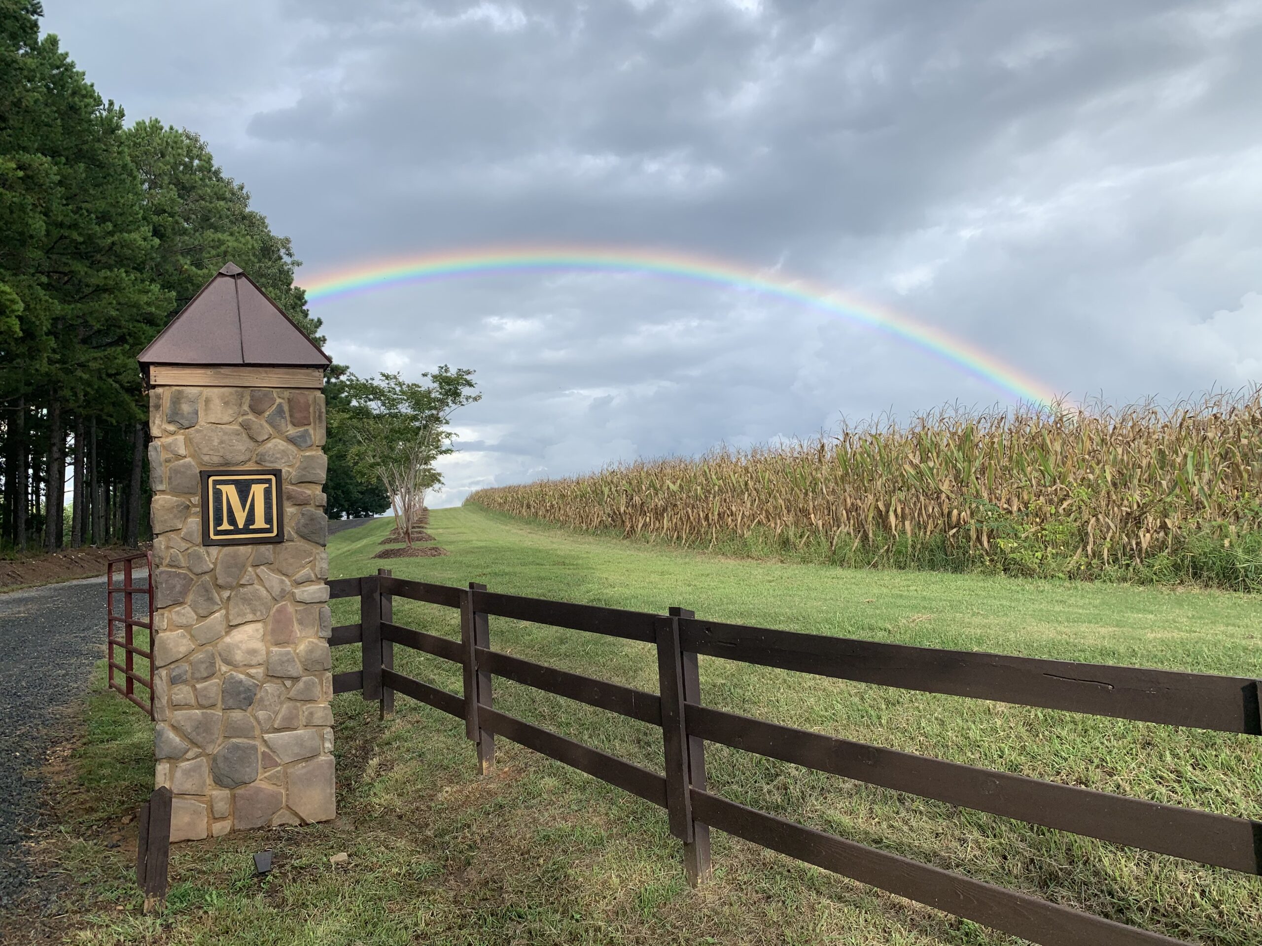 La Processione al Tempio di Auralis