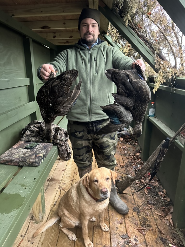La Processione al Tempio di Auralis