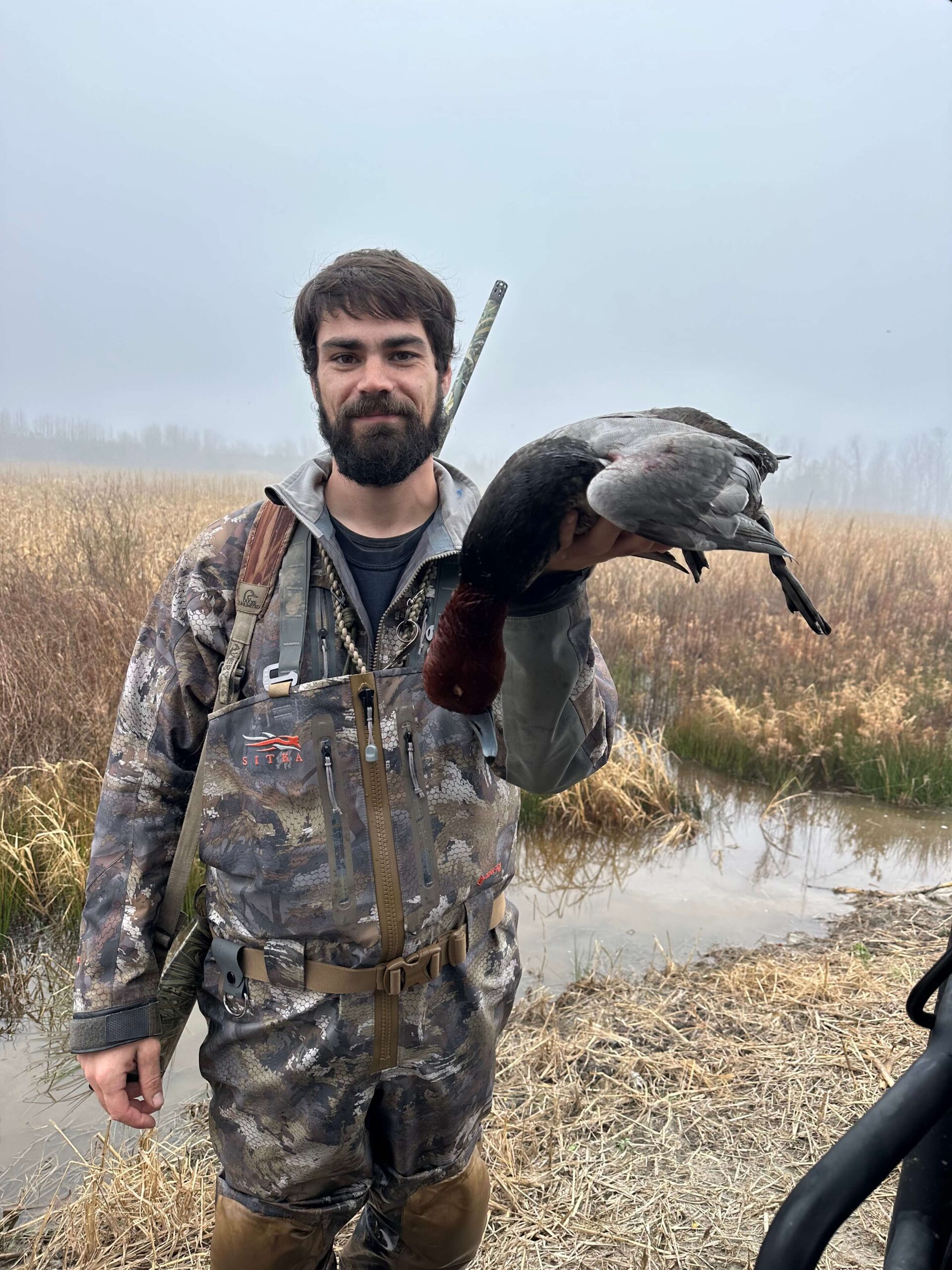 La Processione al Tempio di Auralis