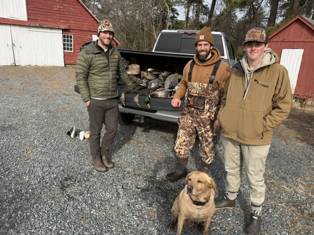 La Processione al Tempio di Auralis