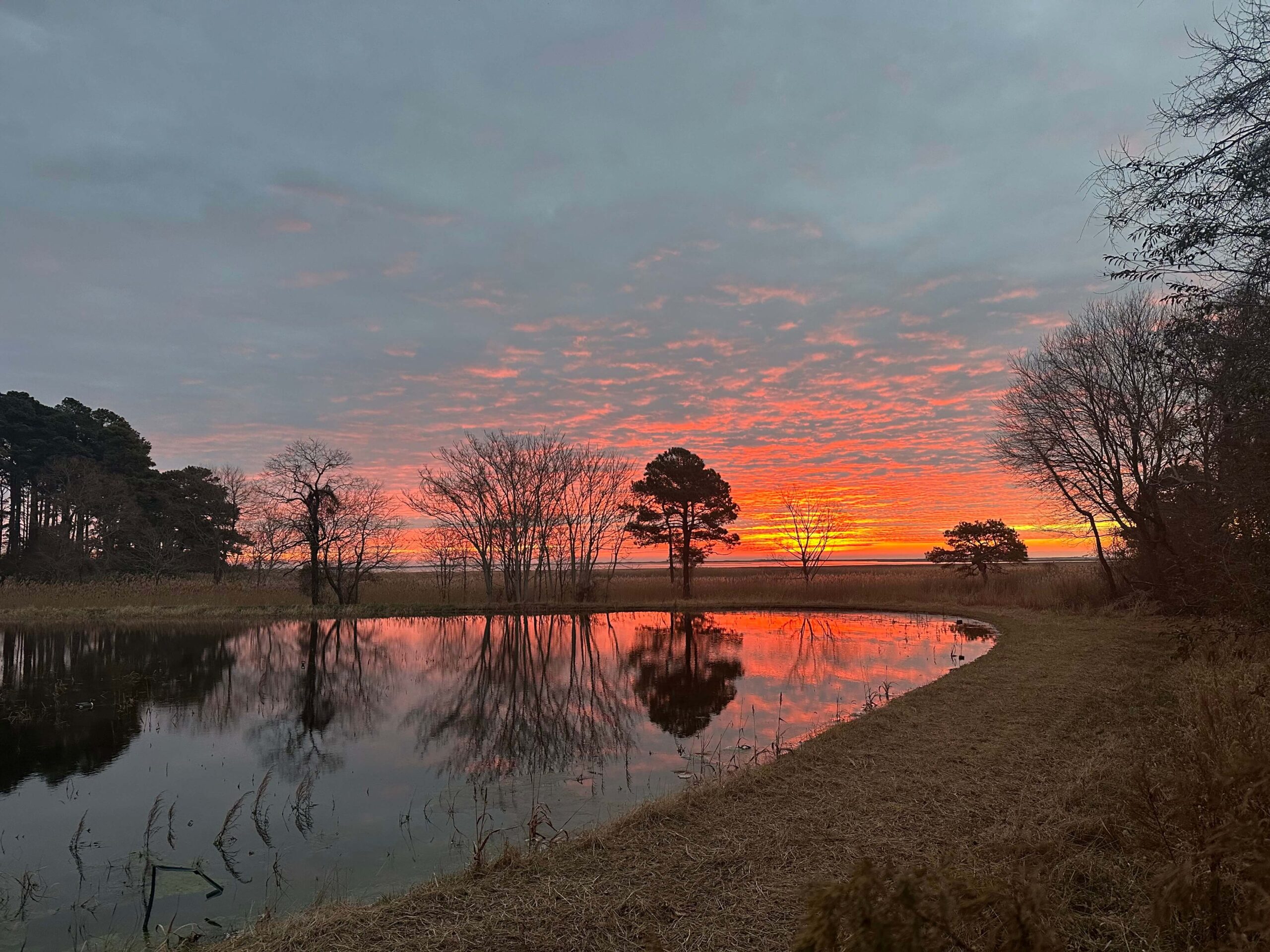 La Processione al Tempio di Auralis