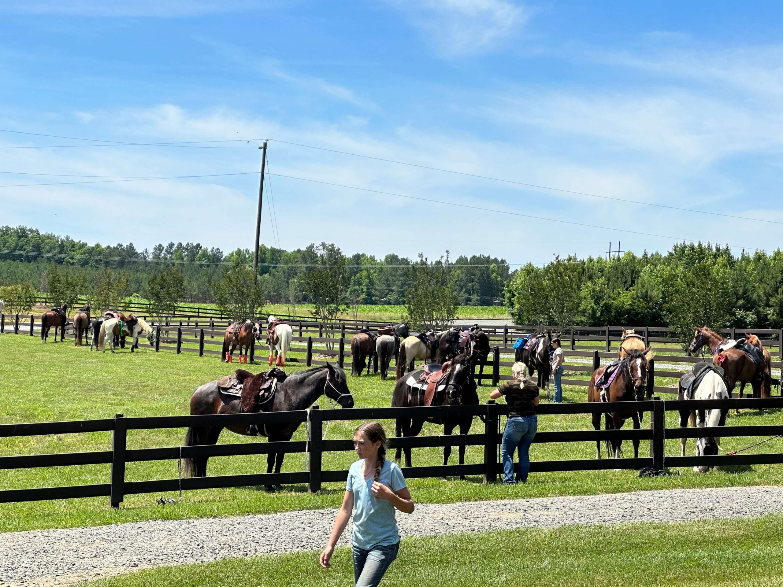 La Processione al Tempio di Auralis