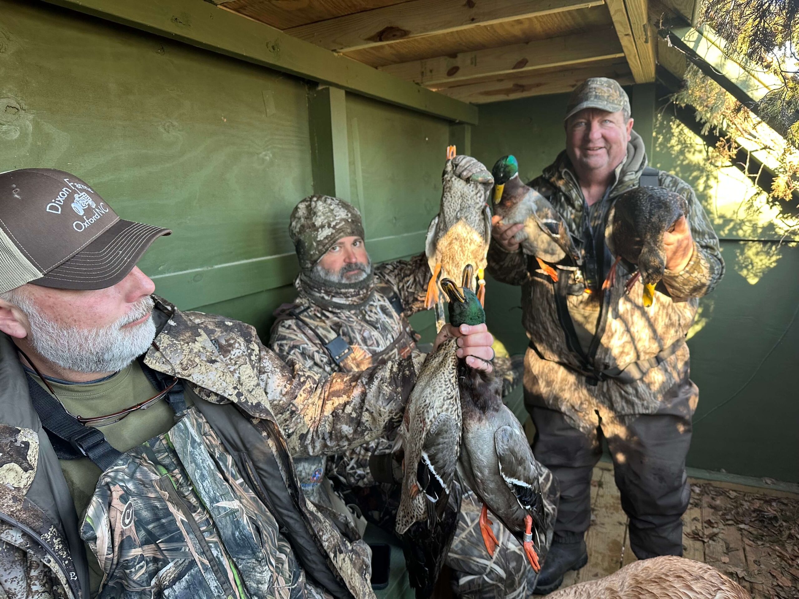 La Processione al Tempio di Auralis