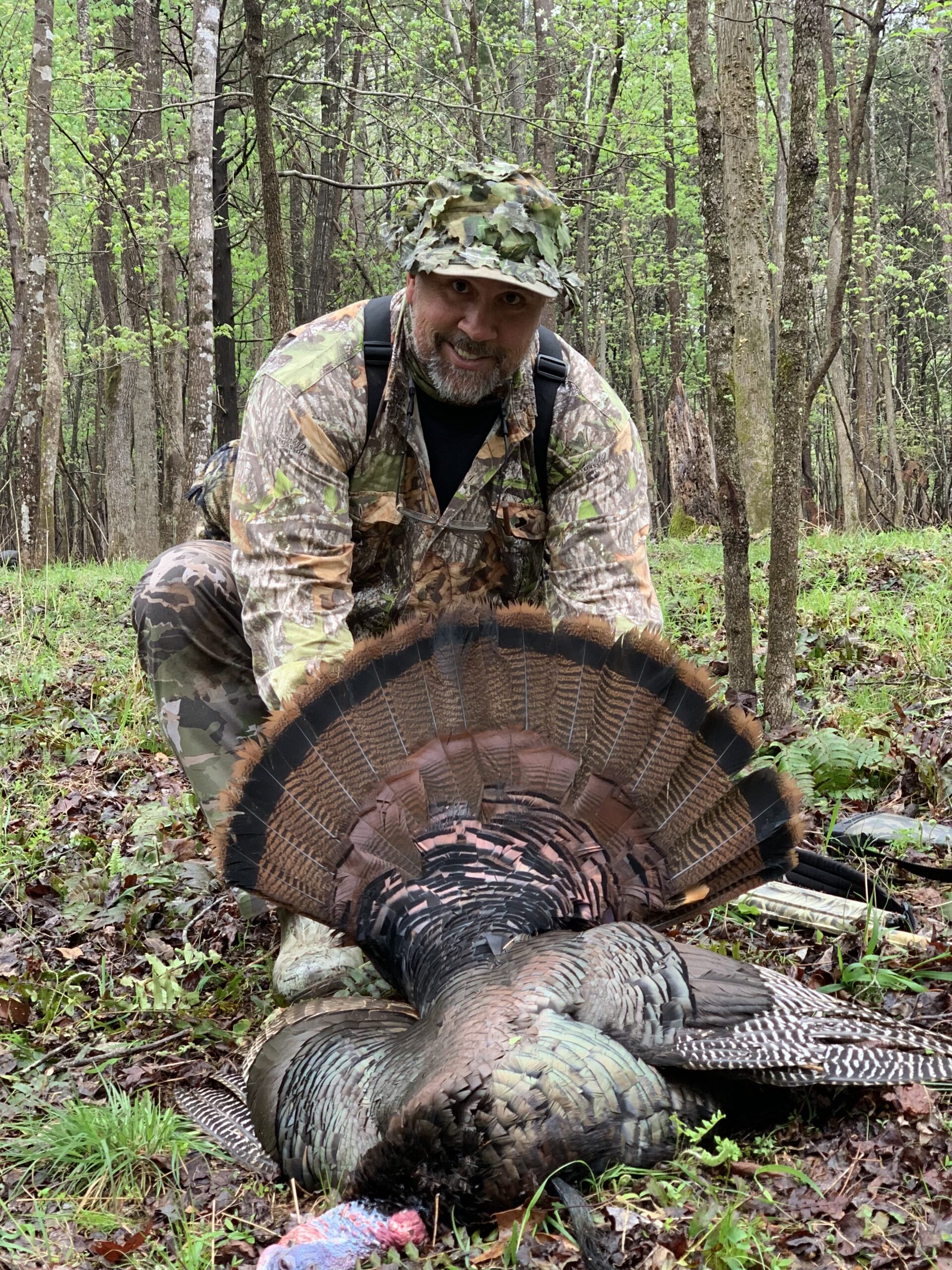 La Processione al Tempio di Auralis