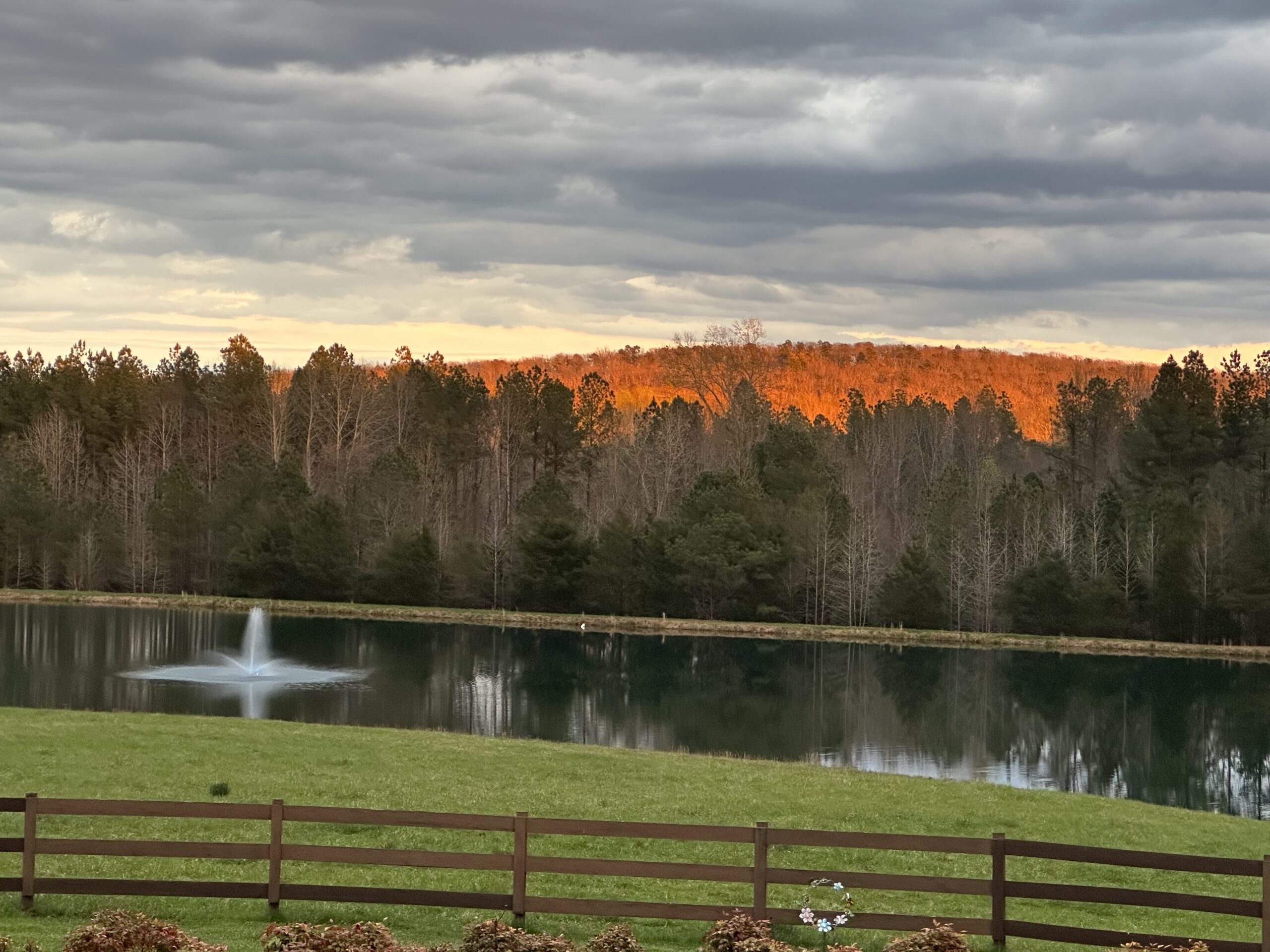La Processione al Tempio di Auralis
