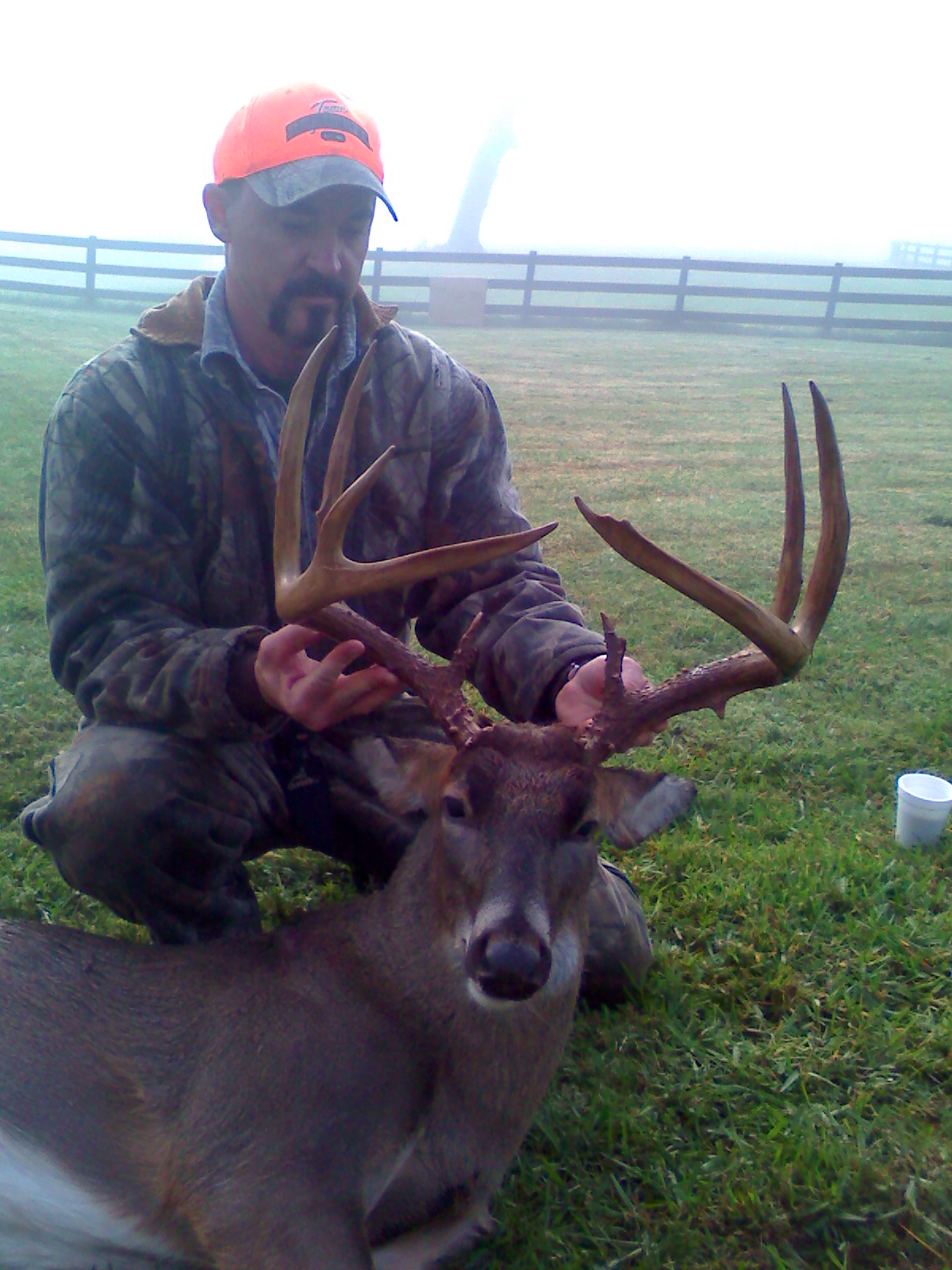 La Processione al Tempio di Auralis